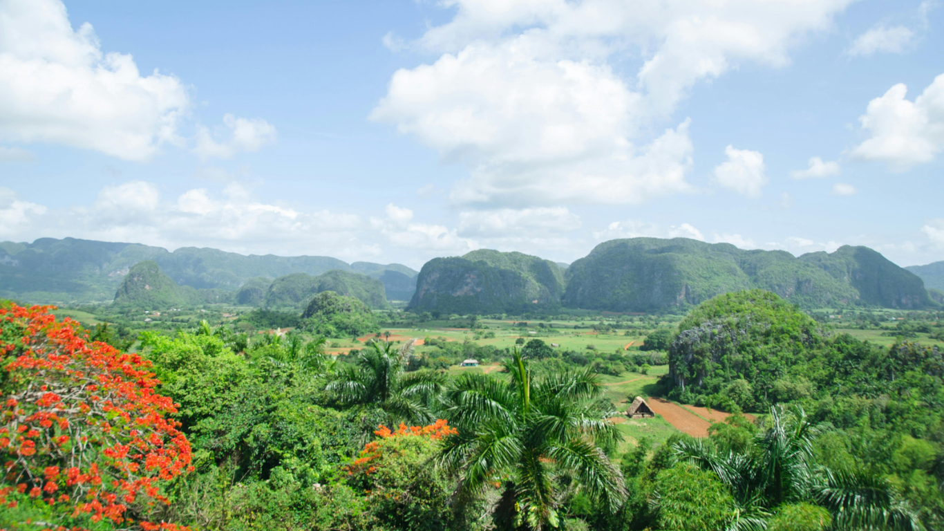 Sans titre (Site Web)