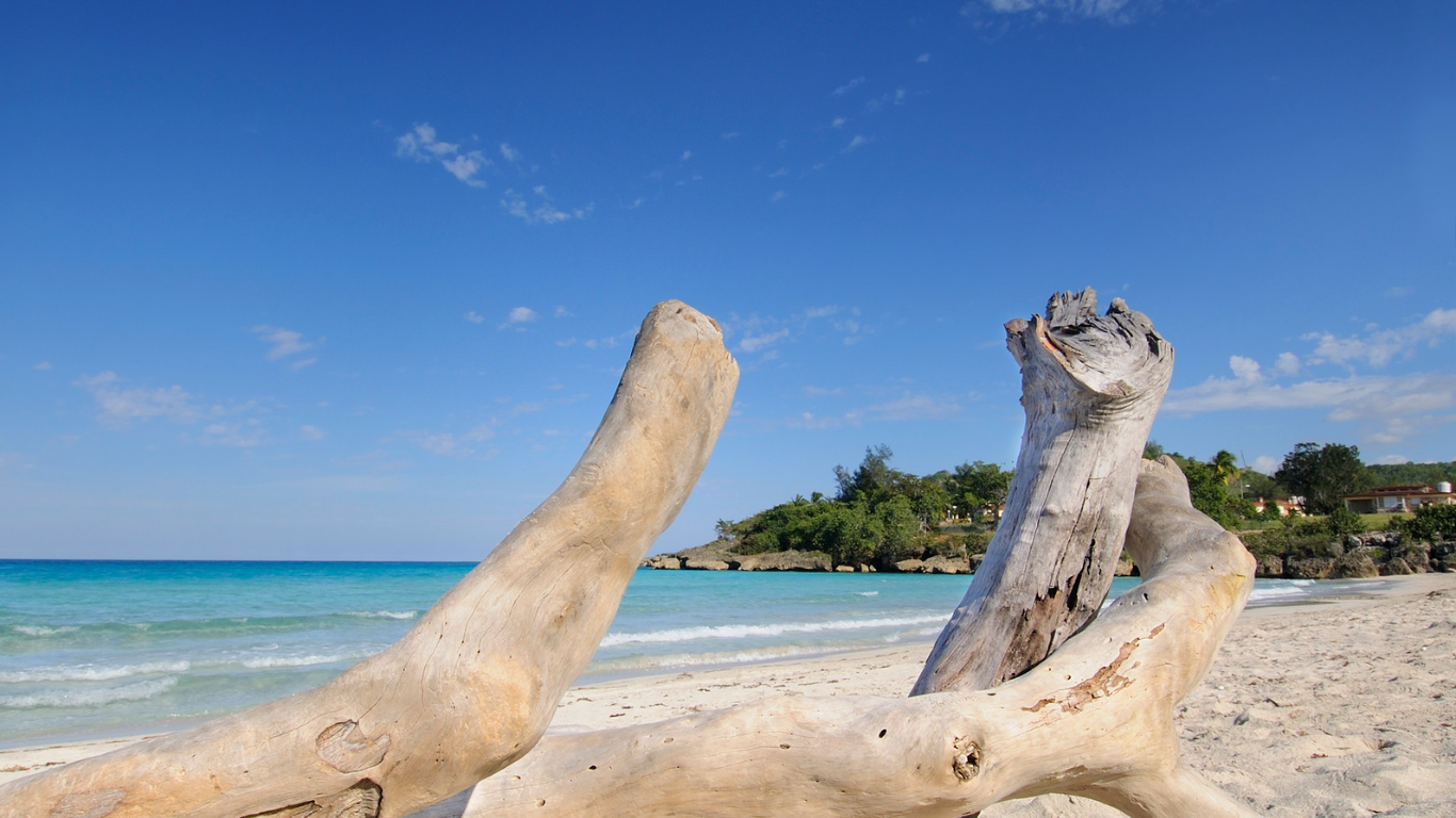 Sans titre (Site Web)