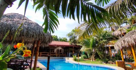 Copy of Adobe Express – file (22)